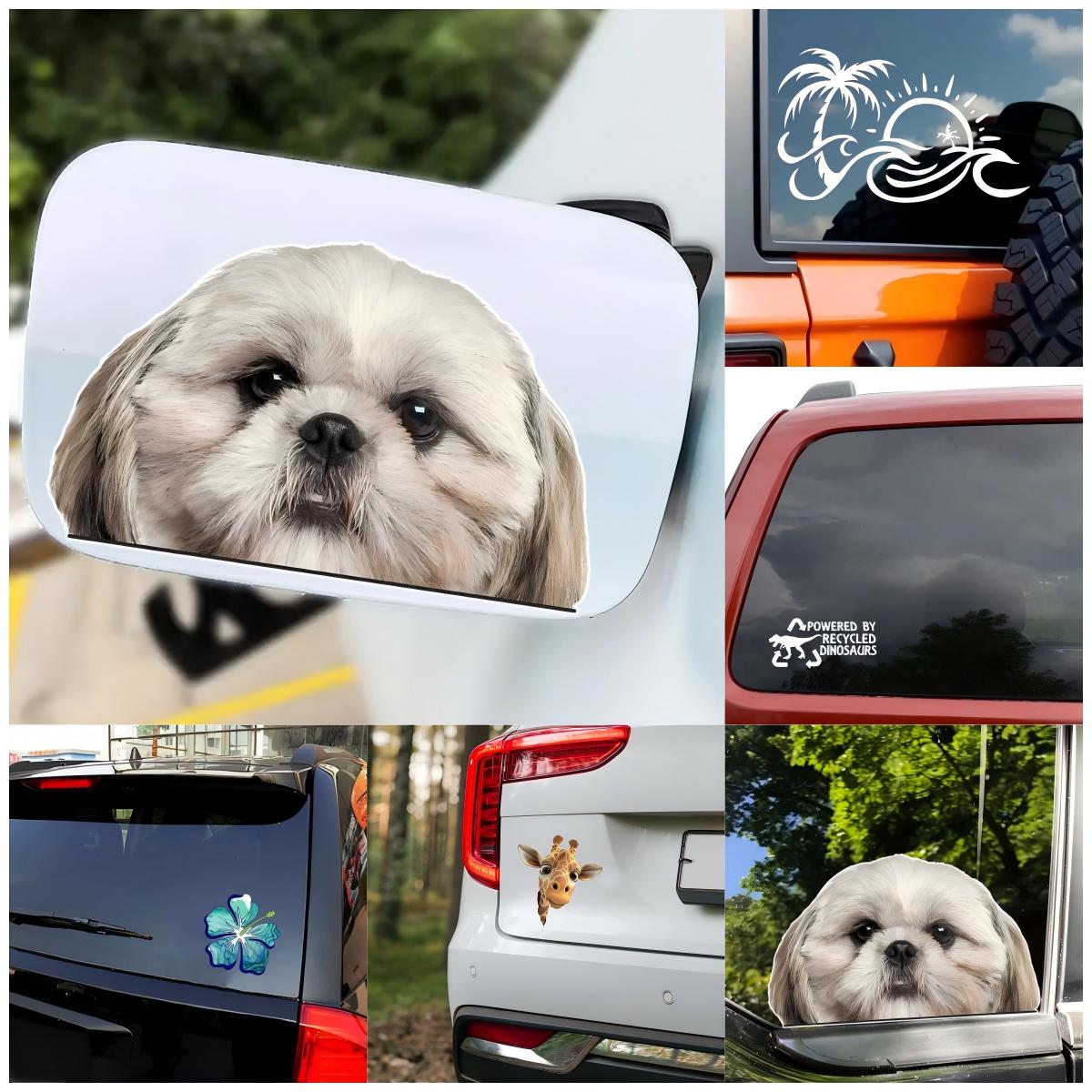 Adesivo per Finestrino Auto co - Laptop Accessories To Have recensione e prezzo