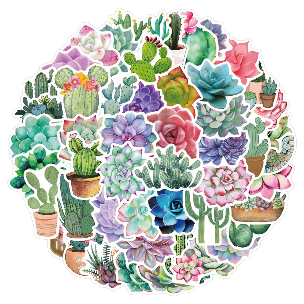 50 pezzi adesivi succulenti pe - Laptop Accessories Girly recensione e prezzo
