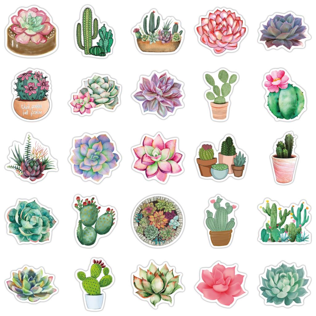 50 pezzi adesivi succulenti pe - Laptop Accessories Girly recensione e prezzo