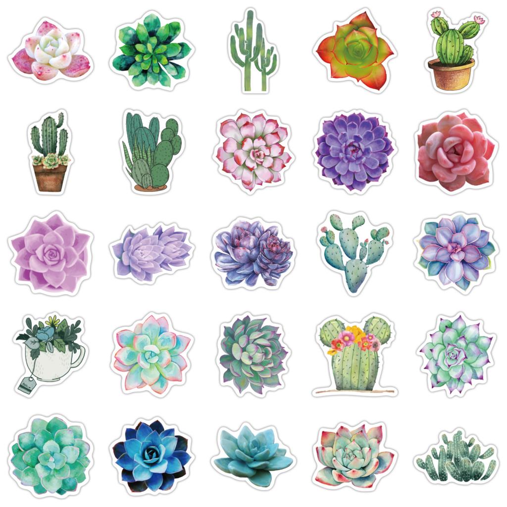 50 pezzi adesivi succulenti pe - Laptop Accessories Girly recensione e prezzo