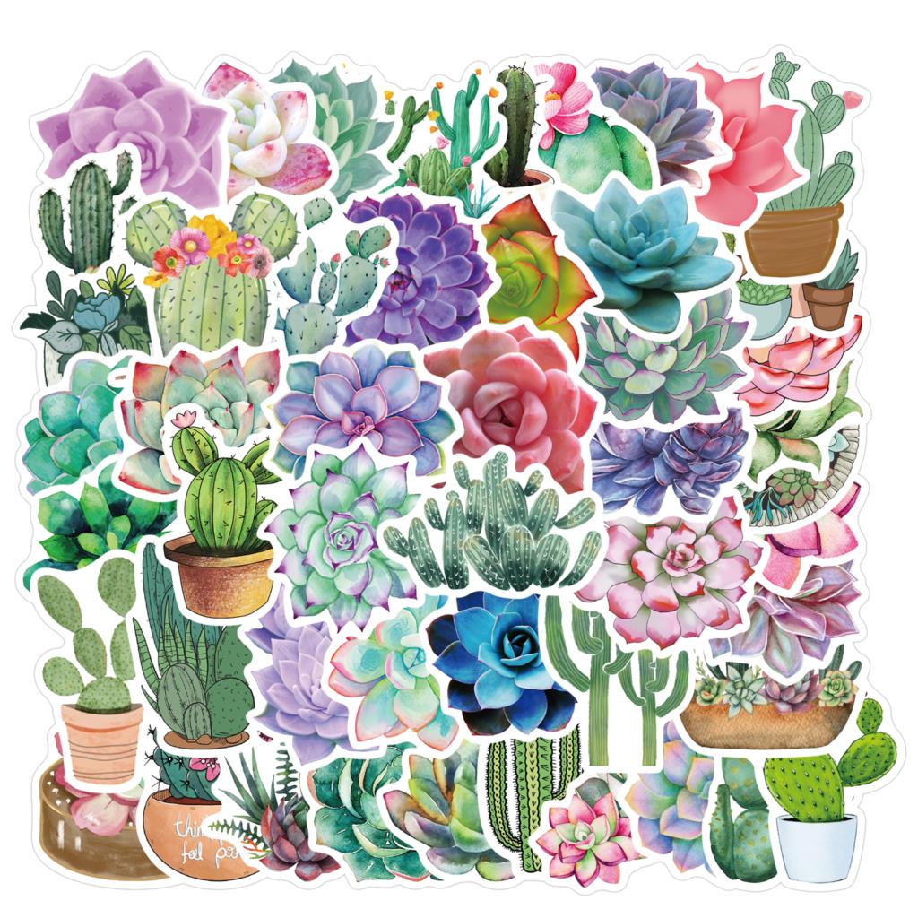 50 pezzi adesivi succulenti pe - Laptop Accessories Girly recensione e prezzo